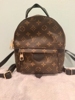 Louis Vuitton Palm Springs Mini Backpack in Brown/Tan